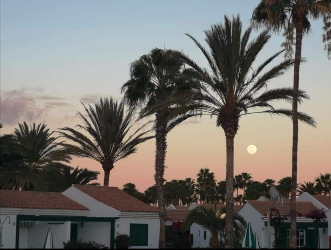 Maspalomas Casa La Loba Екстериор снимка