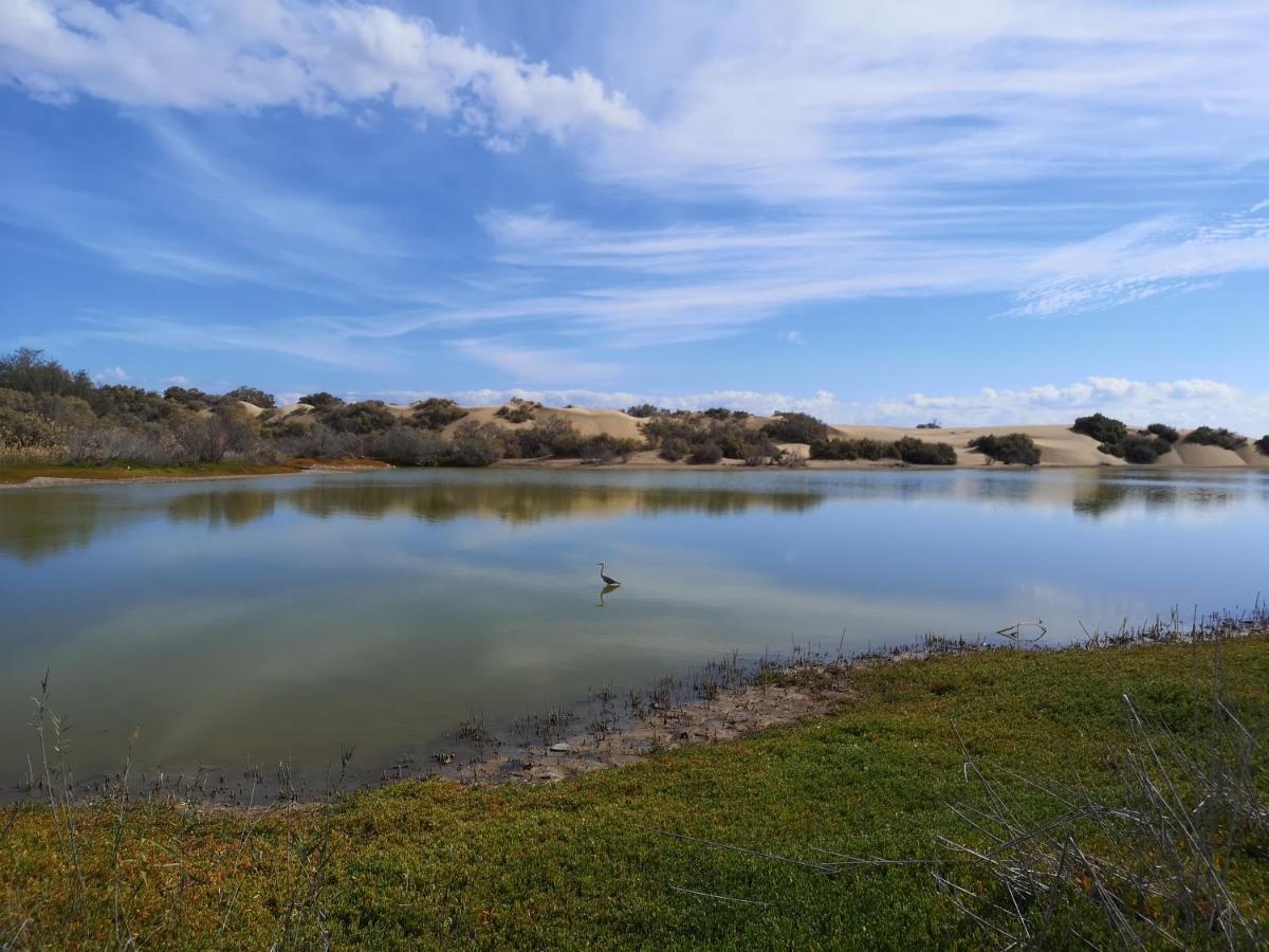 Maspalomas Casa La Loba Екстериор снимка
